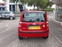 Fiat Panda 1.2 Edizione Cool