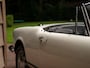 Alfa Romeo Giulia 1600 Spider | Origineel Nederlands