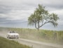 Alfa Romeo Giulia 1600 Spider | Origineel Nederlands