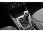 Skoda Fabia 1.0 TSI 95pk Business Edition | Achteruitrijcamera | Cruise Control | Stoelverwarming