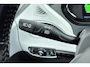 Opel Ampera-e Business executive 60 kWh Ver rijden, comfortabel aankomen