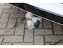 Volkswagen Tiguan 1.4 TSI eHybrid 245PK! R-Line Black Style Pano/20"/Virtual/Elek. Trekhaak "RIJKLAARPRIJS"