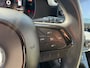 Fiat Panda 1.0 Hybrid Pandina (BOVAG/RIJKLAARPRIJS)