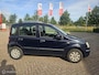 Fiat Panda 1.2 Edizione Cool