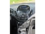 Ford B-Max 1.0 EcoBoost Titanium X! PANO l NAVI l CAMERA l CRUISE l TREKHAAK l PDC l KEYLESS l LED! NAP l 2EIGENAAR l NIEUWE DRIEM