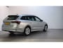 Skoda Octavia Combi 1.0 TSI 110pk Business Edition Navigatie Sfeerverlichting Parkeersensoren DAB+