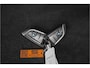 BMW 5-Serie Touring 530i High Executive Luxury Pano Camera HiFi Leder ACC