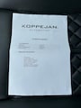 Audi A6 2.0 TFSI Quattro Adv. Sport S Line, Matrix, Pano, RS Leder