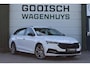 Skoda Octavia Combi 1.4 TSI iV PHEV Business Ed. | Head-UP | Black Pack |