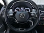 Skoda Fabia Combi 1.0 TSI Business Edition Navigatie App-Connect DAB+ Airco