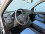 Fiat Panda 1.2 Edizione Cool - Airco