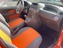 Fiat Panda 1.2 Edizione Cool Airco 5 DR NEW APK