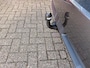 Toyota Verso 1.6 VVT-i SkyView Edition, 7 persoons, Trekhaak,