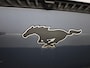 Ford Mustang Mach-E RWD 75 kWh
