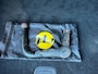 Mercedes-Benz A-klasse 250 AMG Prestige, Leer, Panodak, trekhaak enz...