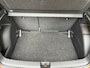Skoda Fabia 1.0 TSI Business Edition