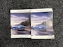 Ford Focus Wagon 1.0 EcoBoost Titanium Business PANO TREKHAAK CRUISE NAVI CARPLAY ECC.