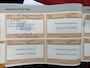 Citroën C3 1.2 VTi 82pk 5drs Collection/Nwe D.riem/Cruise/€31 per mnd.