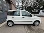 Fiat Panda 1.2 Active NAP/