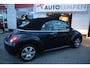 Volkswagen Beetle Cabriolet 1.6 HIGHLINE AIRCO |CRUISE|STOELVERW.|WINDSCHERM|DISTRIBUTIE VERVANGEN