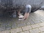 Citroën C5 Aircross 1.6 PureTech Shine