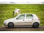 Fiat Punto 1.2-16V Dynamic Speedgear |Nap |5Deurs |Automaat