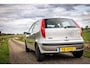 Fiat Punto 1.2-16V Dynamic Speedgear |Nap |5Deurs |Automaat