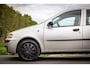 Fiat Punto 1.2-16V Dynamic Speedgear |Nap |5Deurs |Automaat