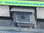 IVECO Daily 50C17 BE COMBI XXXL