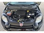 Fiat Panda 1.0 Hybrid Pandina | CRUISE | PARKEER SENSOREN | CARPLAY |