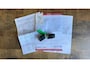 Volkswagen Golf 1.5 TSI Highline Business R Pano|Virtual|Camera