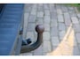 Volvo V70 2.5 T Automaat Momentum Parkeersensor/Stoelverwarming/Half-Leer/Apk 09-2027