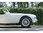 AC Overige Bristol roadster S0256 - M1230