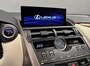Lexus NX President 197 PK, Mark Levinson, Glazen dak, 360 Camera, Leder, vol!