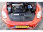 Volkswagen Beetle Cabriolet 1.2 TSI Sound Carplay Cruise !!