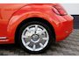Volkswagen Beetle Cabriolet 1.2 TSI Sound Carplay Cruise !!