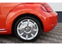 Volkswagen Beetle Cabriolet 1.2 TSI Sound Carplay Cruise !!