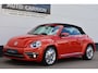 Volkswagen Beetle Cabriolet 1.2 TSI Sound Carplay Cruise !!