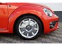 Volkswagen Beetle Cabriolet 1.2 TSI Sound Carplay Cruise !!