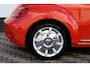 Volkswagen Beetle Cabriolet 1.2 TSI Sound Carplay Cruise !!