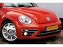Volkswagen Beetle Cabriolet 1.2 TSI Sound Carplay Cruise !!