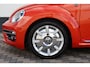 Volkswagen Beetle Cabriolet 1.2 TSI Sound Carplay Cruise !!