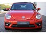 Volkswagen Beetle Cabriolet 1.2 TSI Sound Carplay Cruise !!