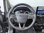 Ford EcoSport EcoBoost Titanium Nw geleverd | Afn. trekhaak | Winterpack | Bliss | B&O | All seasons