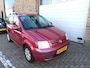 Fiat Panda 1.2 Edizione Cool Airco NAP APK 9-2027