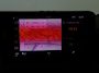 Nissan Micra 40 kWh ADVANCE Business Ed. A/T | Appel carplay | android auto | climate control