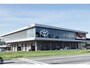 Toyota Yaris 1.5 Hybrid 115 Dynamic | Dodehoek detectoe | Parkeersensoren voor/achter | Stoel-/stuurverwarming | Apple Carplay / Android Auto | Adaptive Cruise | Keyless | 16 inch