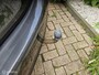 Opel Meriva 1.4 Turbo Cosmo Trekhaak