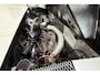 Porsche 914 Targa 1.7 5 versnellingsbak
