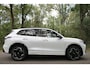 Volkswagen Tiguan 1.5 eHybrid R-Line Business | IQ | Pano | Trekhaak | 360° cam | Elek. klep